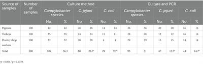 Circulation of thermophilic Campylobacter in pigeons, turkeys, and humans at live bird markets in Egypt